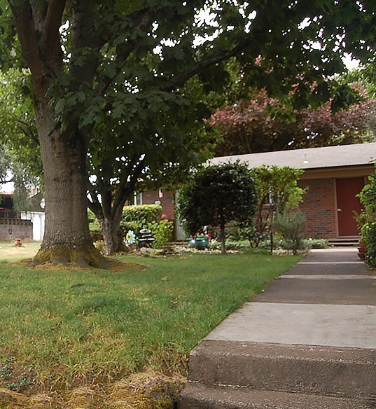 minerva-plaza Image 1
