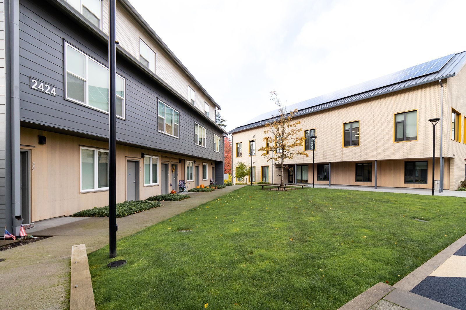 walsh-commons Image 3