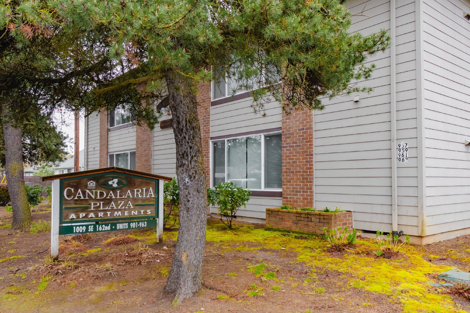 candalaria-plaza-apartments Image 8