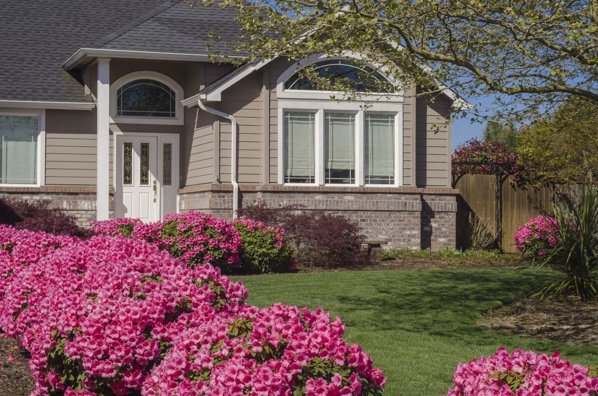 Sandy Multi-Family Property Management